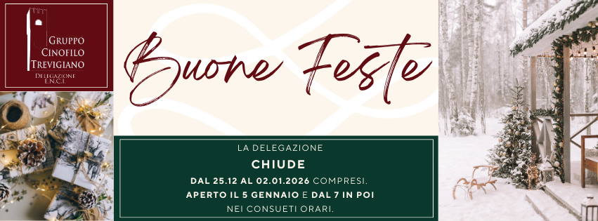 Chiusure festive