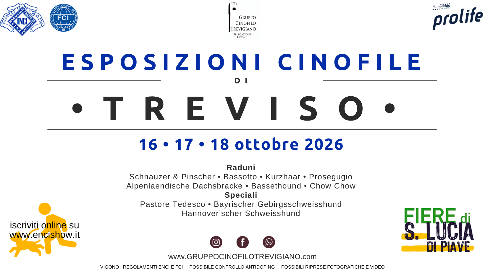 Esposizioni cinofile di Treviso